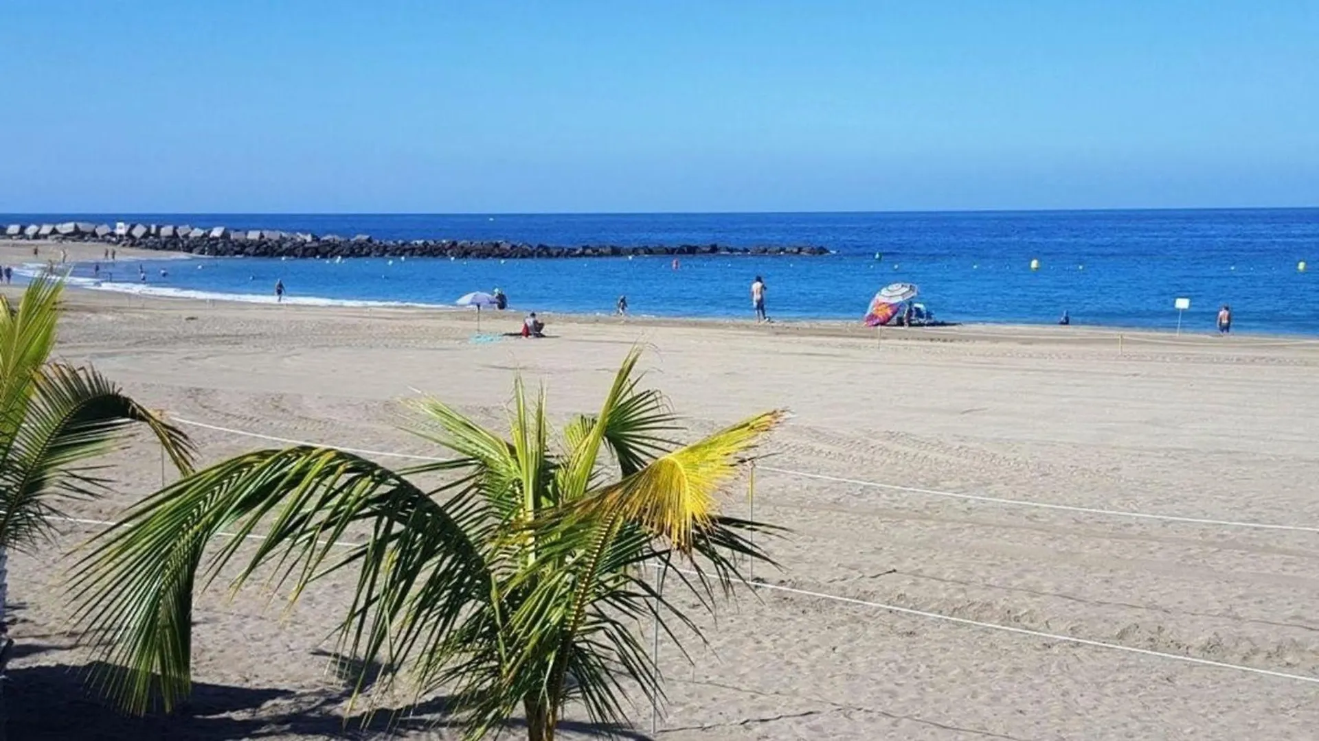 Ferienwohnung Fuer 3 Personen Ca 45 M In Los Cristianos, Teneriffa Westkueste Von Teneriffa דירה
